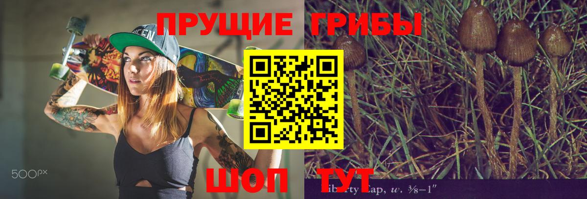 Псилоцибиновые грибы ЛСД Кимовск