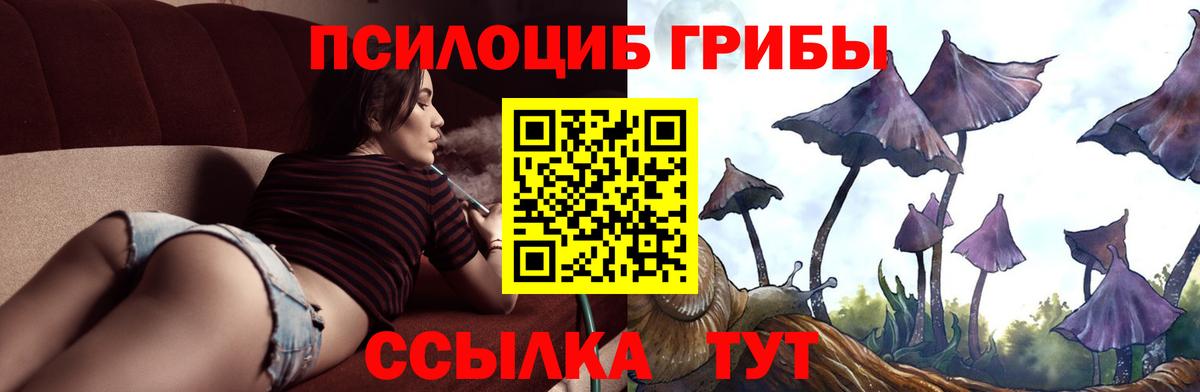 Кимовск  Галлюциногенные грибы Cubensis  Вход с VPN 